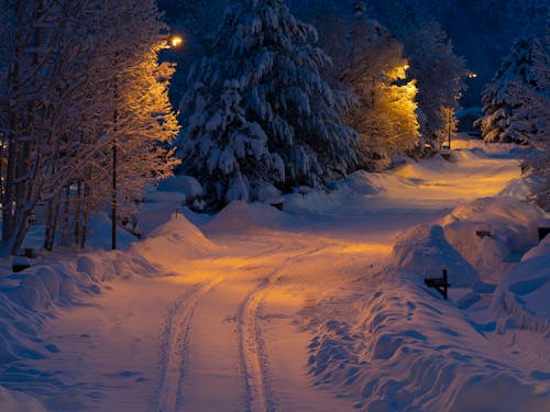 Camino Invernal Antes Del Amanecer En Flagstaff