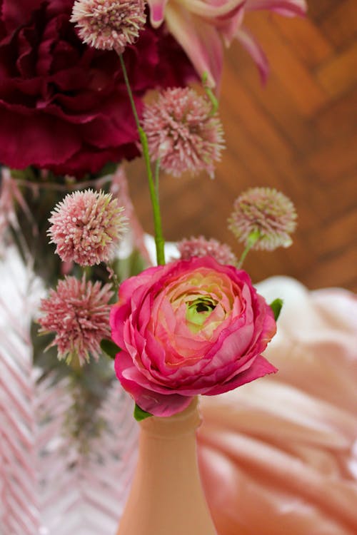 Foto profissional grátis de cor-de-rosa, fechar-se, flores