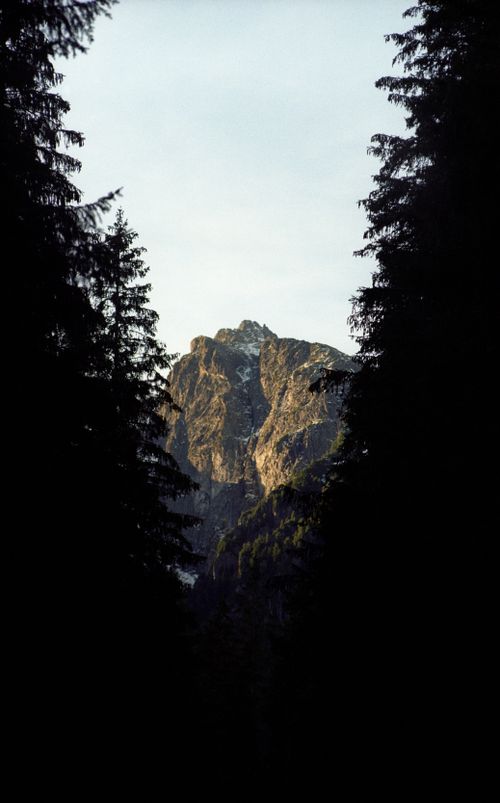 Free Captivating view of a mountain peak framed by dense forest trees at daytime. Stock Photo