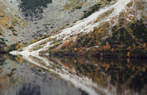 Autumn Trees on Hill over Lake