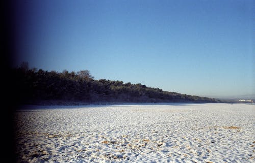 Rural Landcape in Winter 