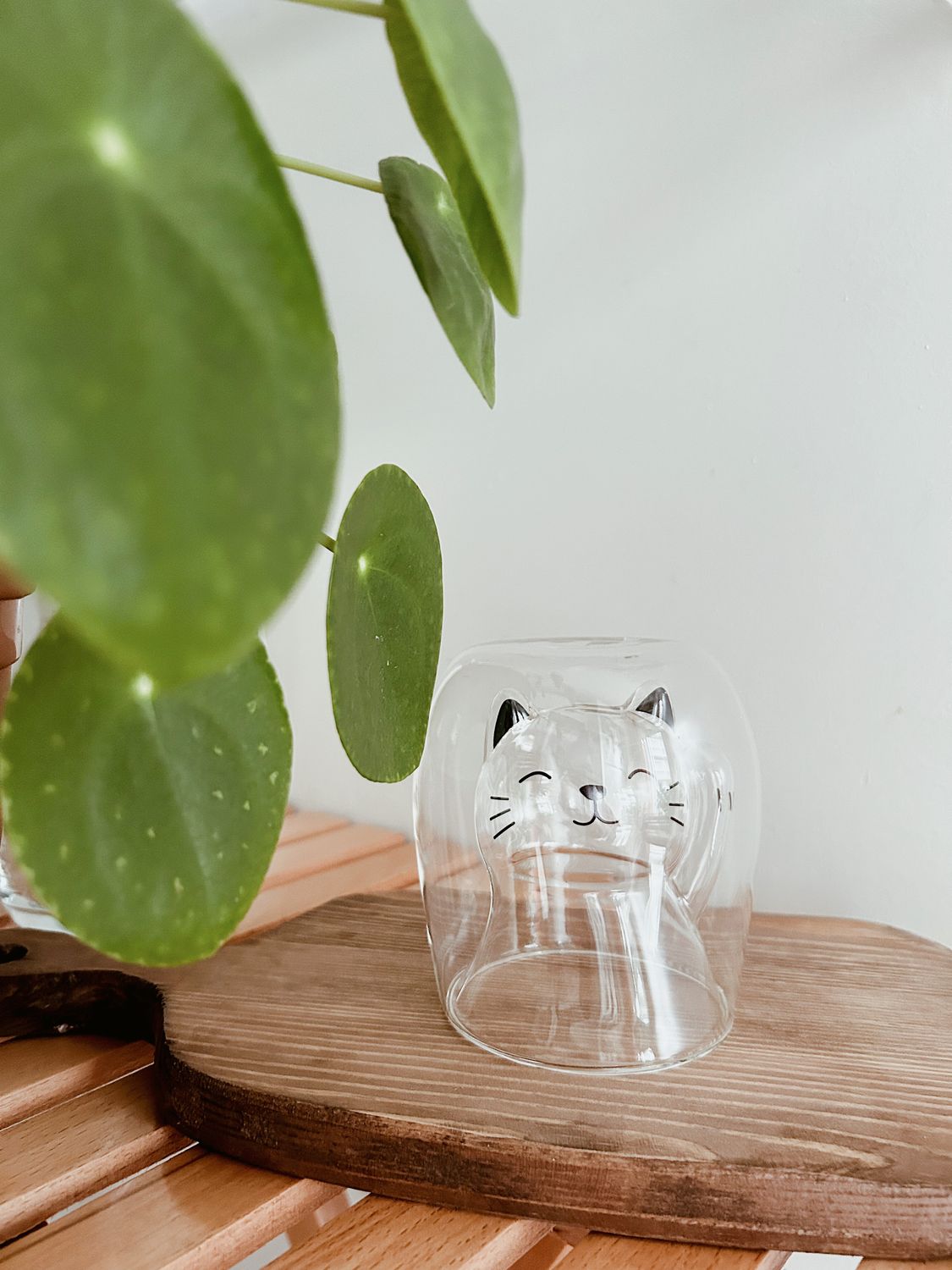Cat Shaped Glass on Table · Free Stock Photo