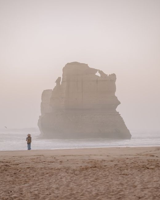 2. The Great Coast Road: West Coast Wonders 2. The Great Coast Road: West Coast Wonders