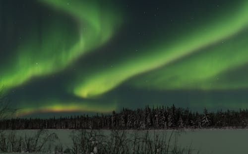 Aurora borealis, fenomen, gece içeren Ücretsiz stok fotoğraf