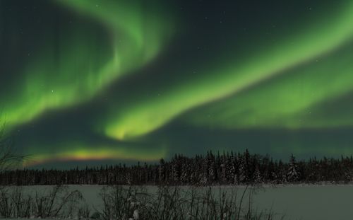 Free Breathtaking view of the aurora borealis illuminating the night sky in Alaska's winter wonderland. Stock Photo