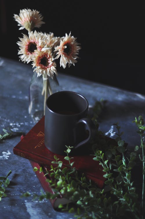 Foto profissional grátis de arranjo de flores, buxo, caneca