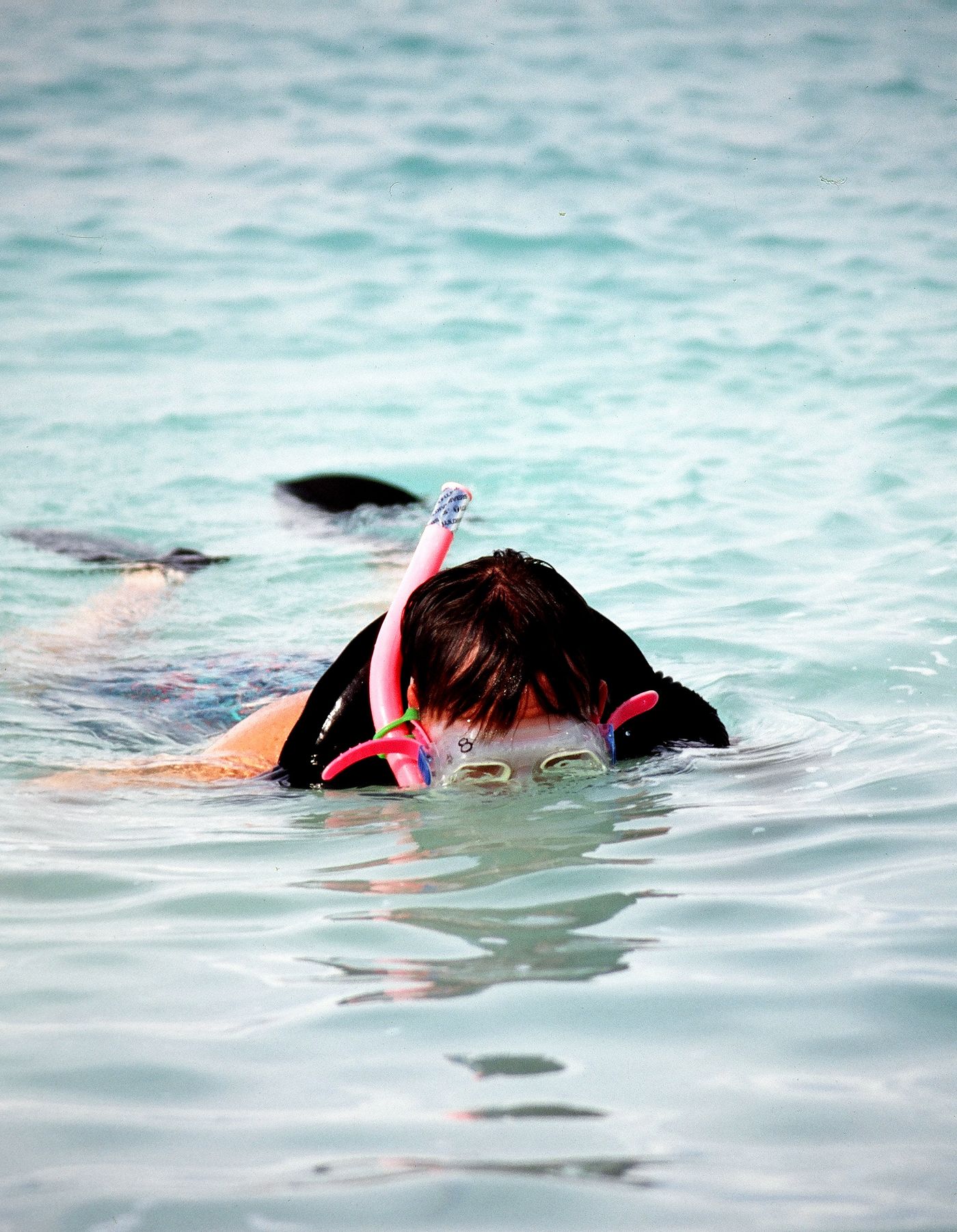 Snorkeler swimming calmly near the surface of clear tropical water