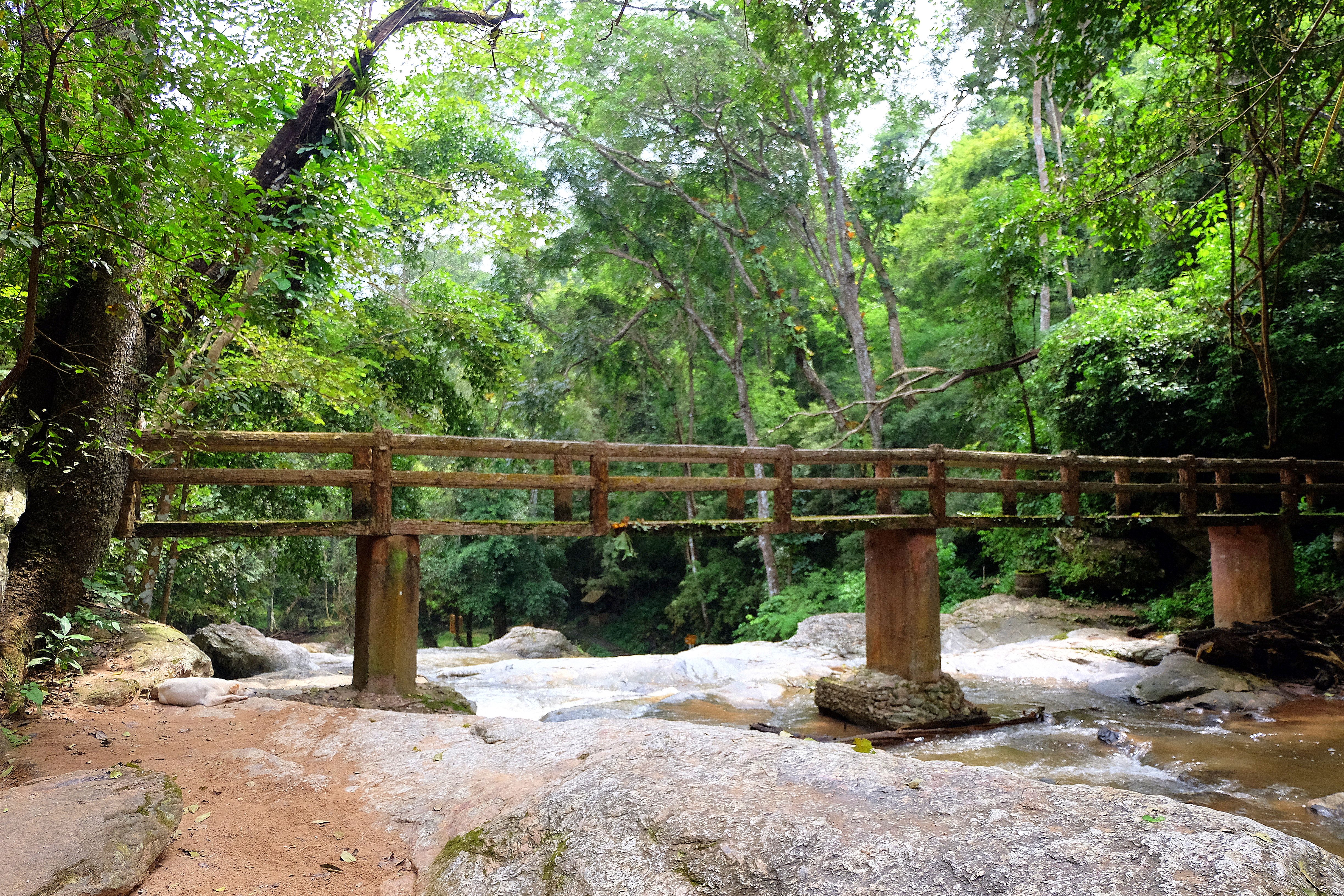 Retiro Transformacional Eco-Wellness