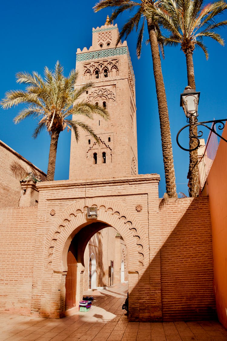 Palm Trees Around Medieval Gate And Tower