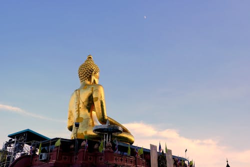 Foto d'estoc gratuïta de assegut, Buda, cel