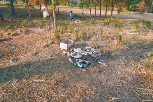 Free Garbage (February 2021) Stock Photo