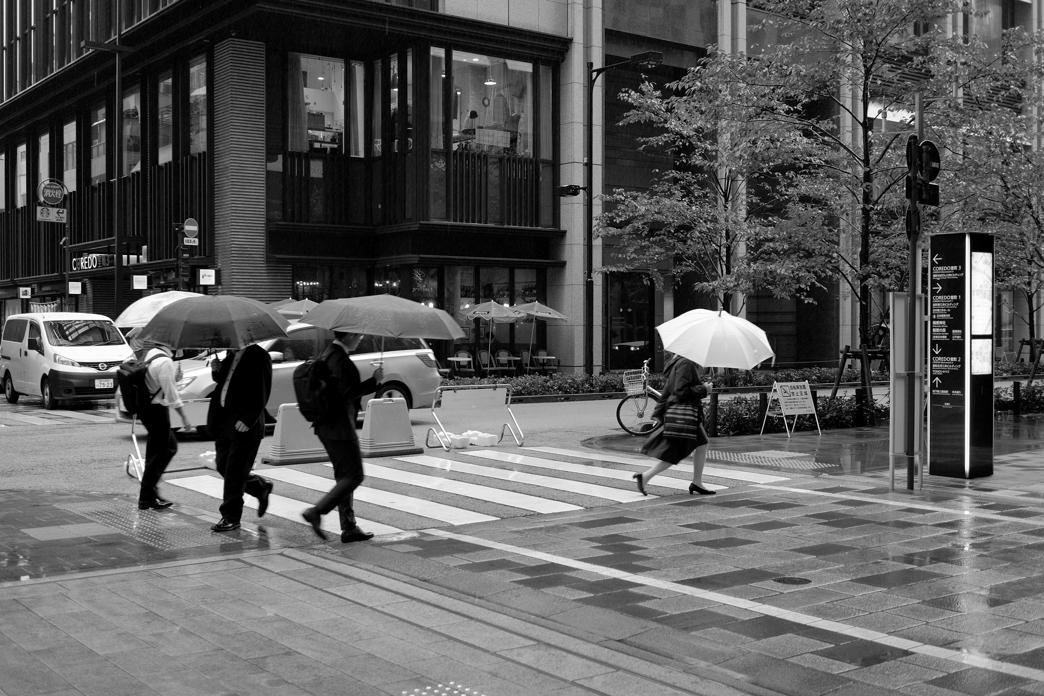 Japan's Consumer Sentiment Plummets 15% in March: What It Means for Gl — finance and investment — 2026