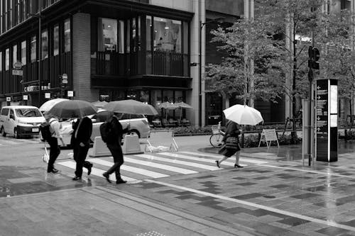 People with Umbrellas on City Street