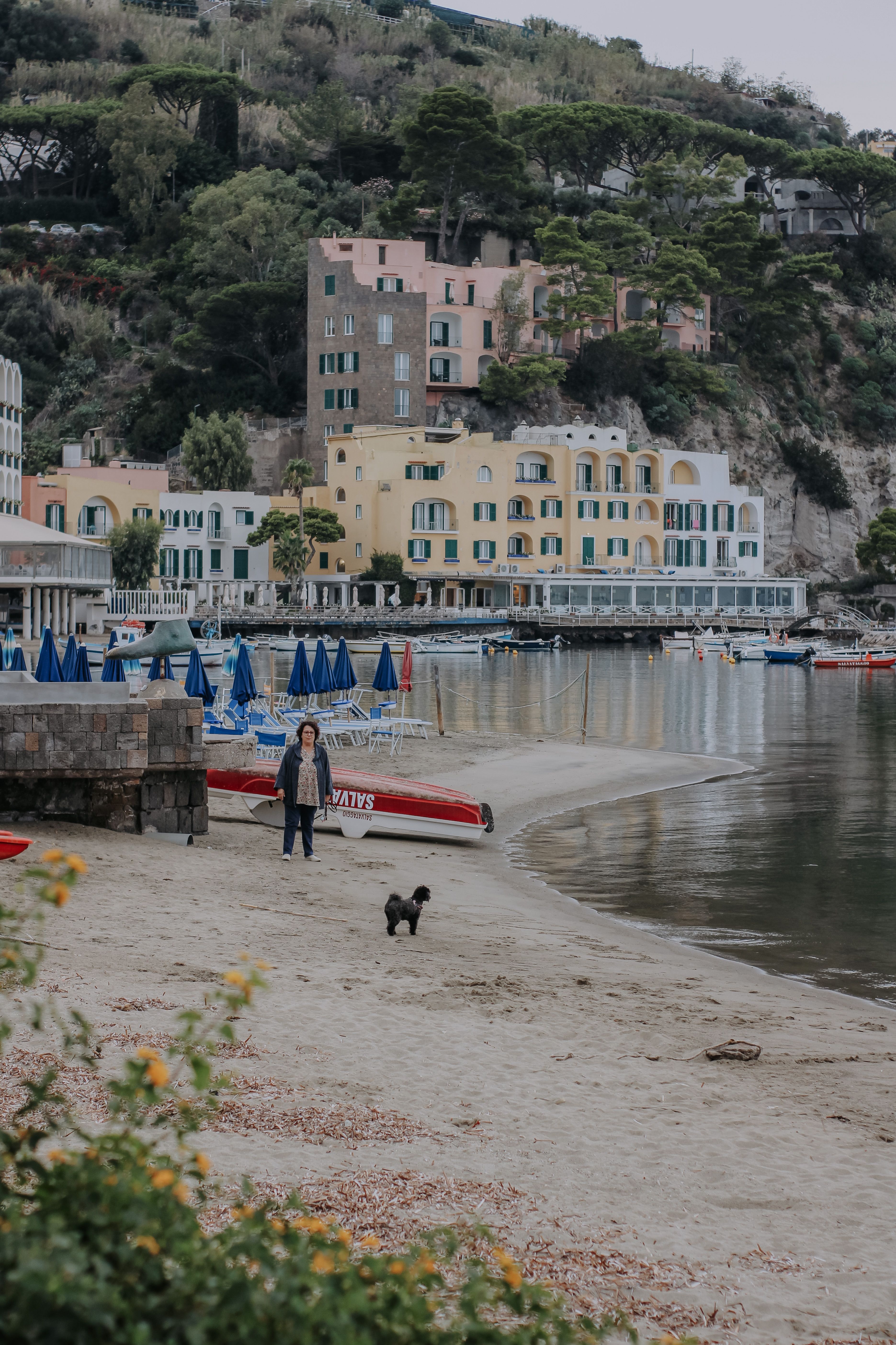 A tranquil beach scene featuring a person walking a dog, with colorful hillside buildings in the background.