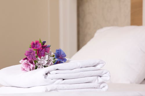 Free Hotel Room Welcome Amenities Photo Stock Photo