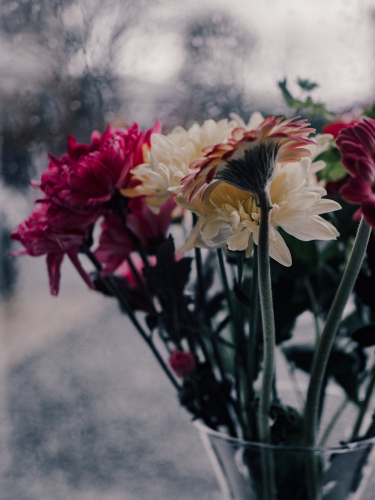 Colorful Flowers In Vase