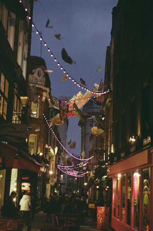 Decorations and Lights over a City Street at Dusk