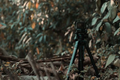 Free camera with tripod Stock Photo