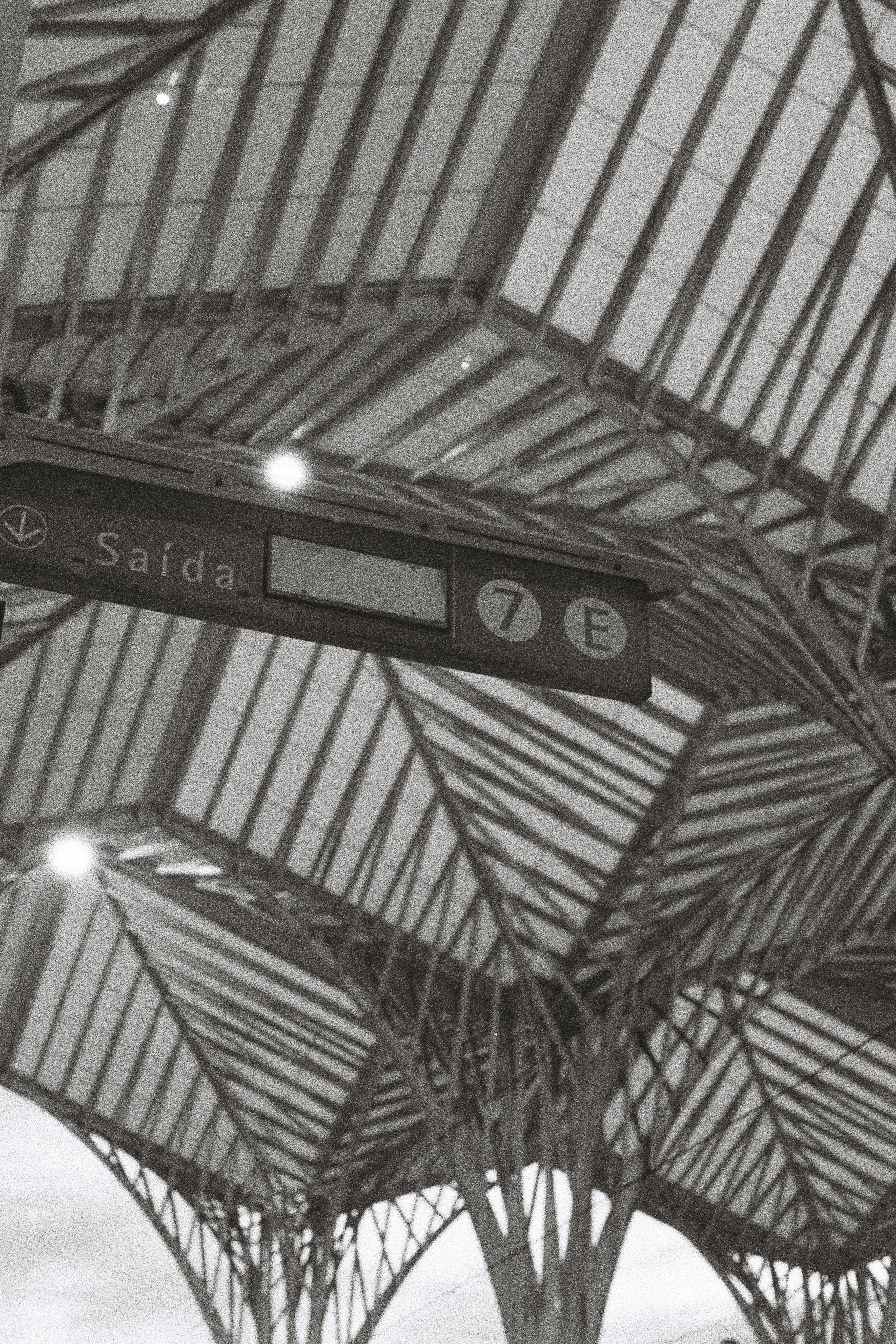 Black and white photo of Lisbon train station showcasing architectural detail.
