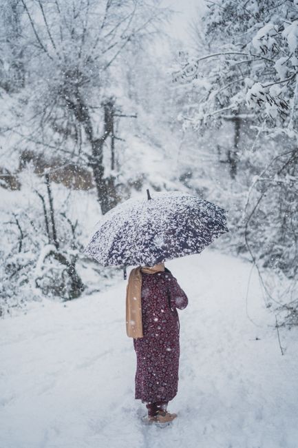 A woman stands with an umbrella amidst snowfall in a serene forest in Srinagar.