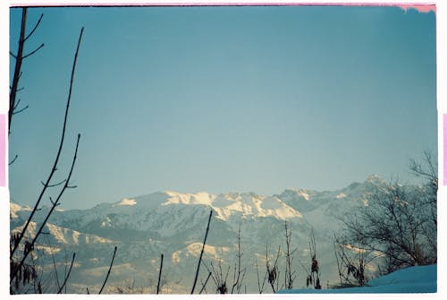 Безкоштовне стокове фото на тему «гірський хребет, гори, дерева» стокове фото
