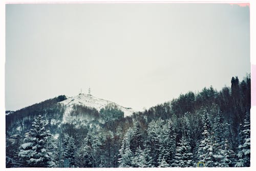 Winter in the Mountains 