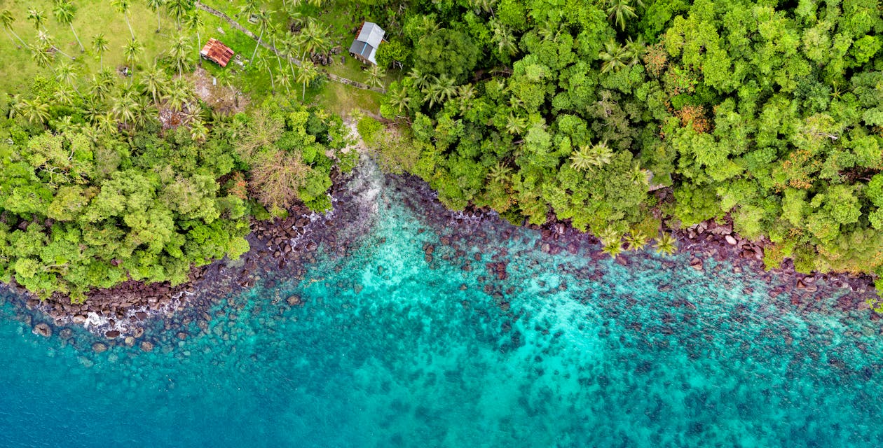 Free Bird's Eye View of a Seashore Stock Photo