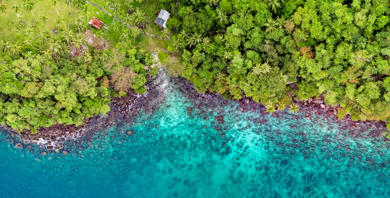 تصميم سوشال ميديا