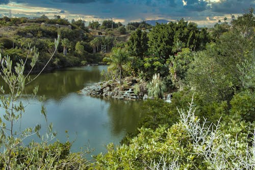 Immagine gratuita di acqua, alberi, fiume