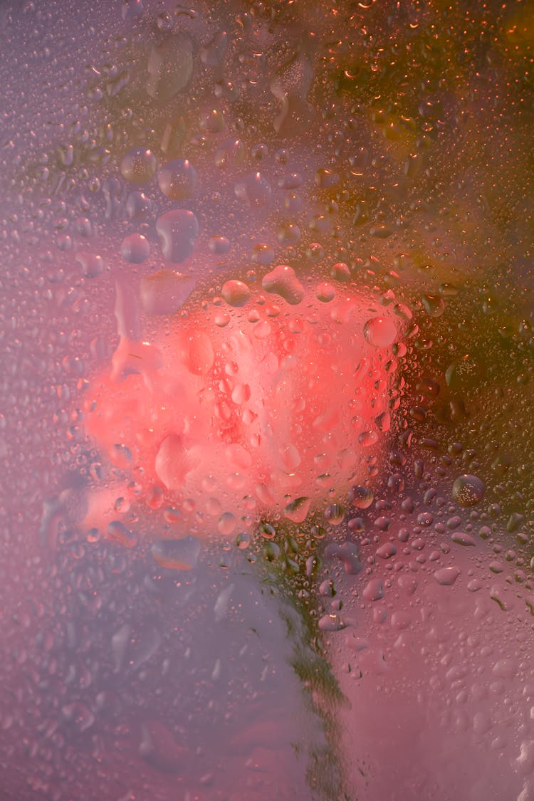 Flower Behind A Window With Raindrops On It