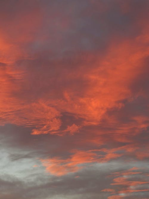 Gratis lagerfoto af dramatisk himmel, lodret skud, lyserøde skyer