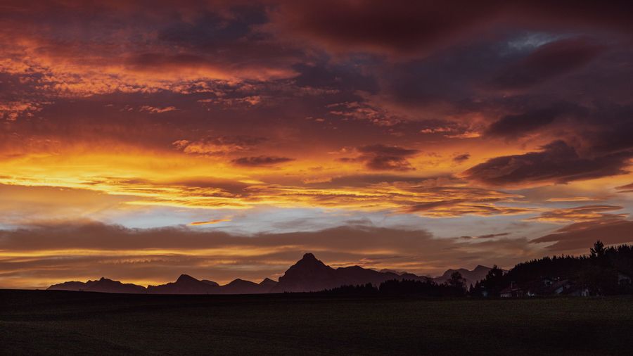 Storm Horizon