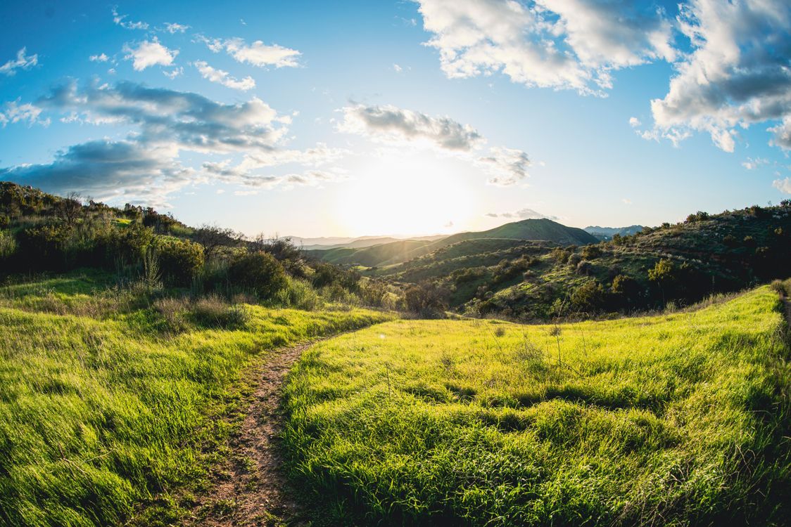 Green Sunset · Free Stock Photo