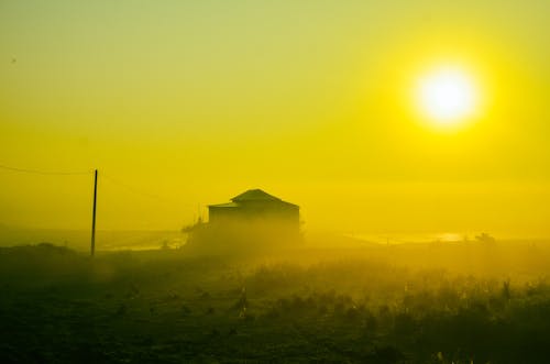 Free stock photo of golden, sunset background, sunset color