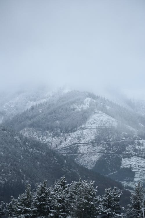 Foto profissional grátis de árvores, cadeia de montanhas, com frio