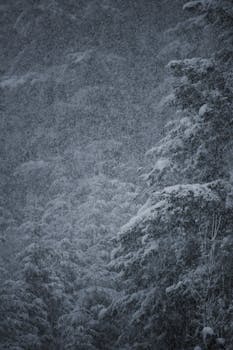 Captivating winter scene of heavy snowfall enveloping a tranquil forest, evoking peace and solitude.