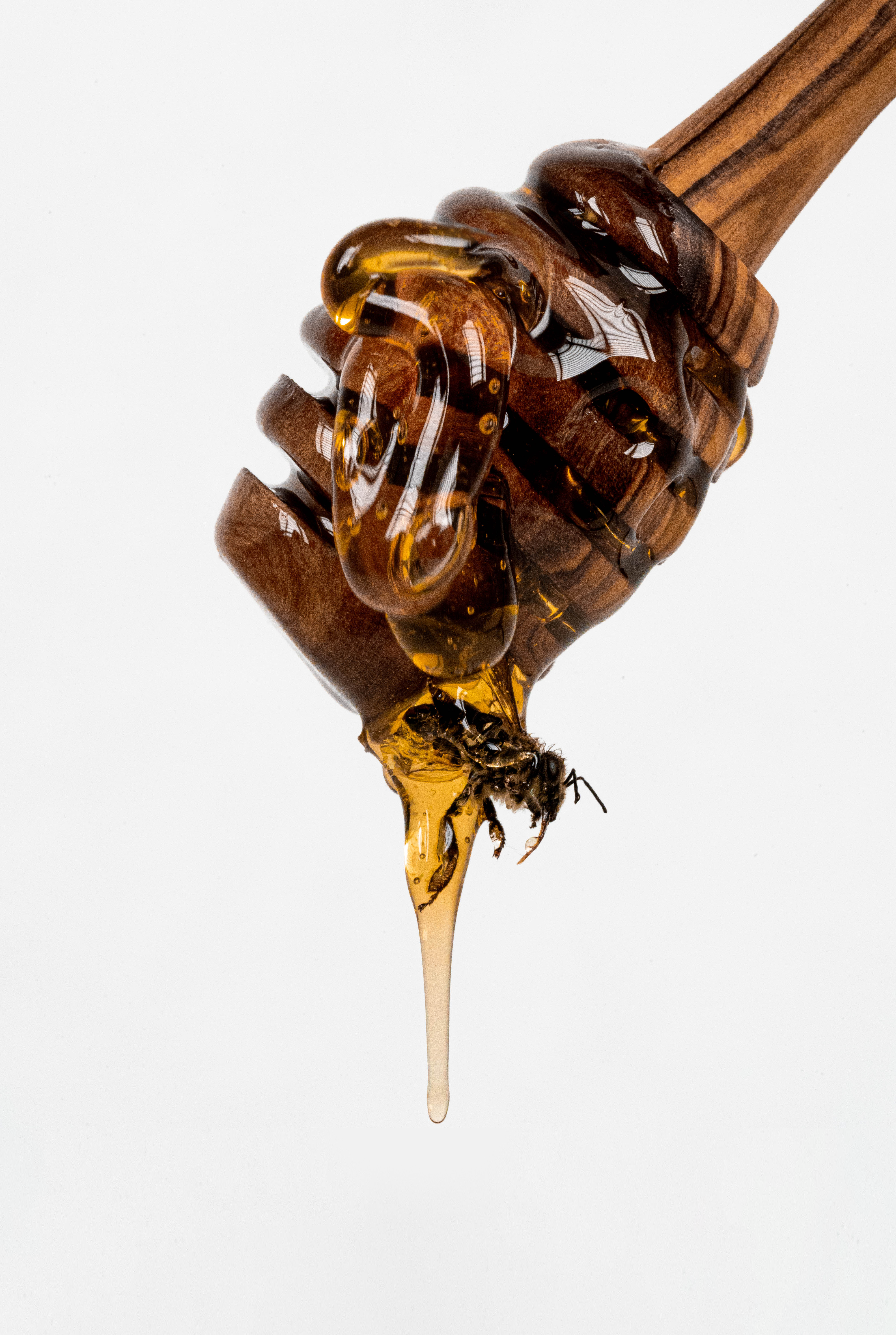 A detailed image of honey dripping from a dipper with an embedded honey bee.