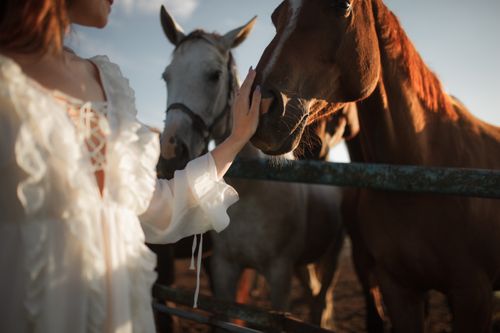 Free A woman gently touches horses on a farm, capturing a serene rural moment. Stock Photo