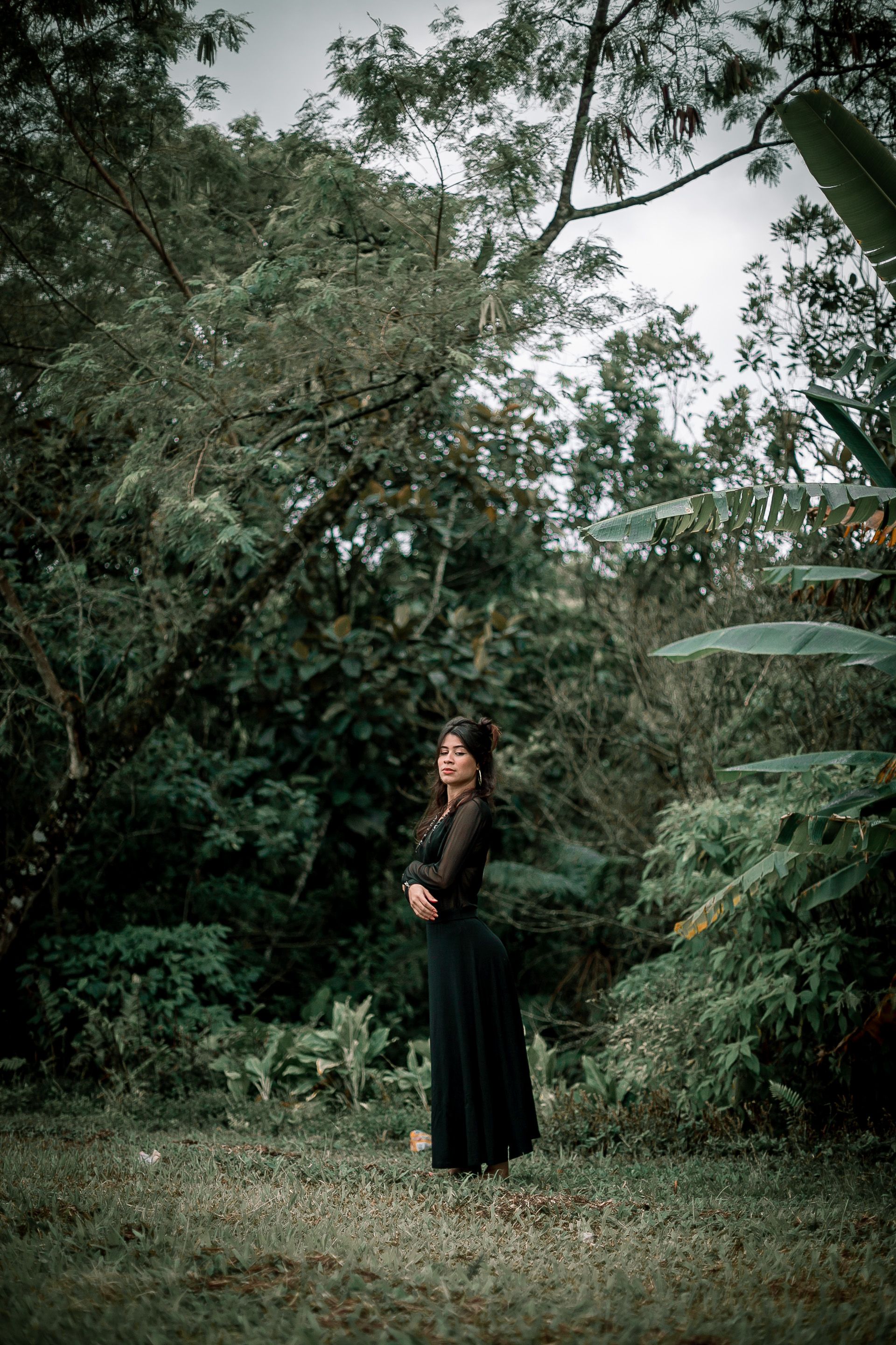 A Woman in Black Dress Standing Beside Green Trees Free Stock Photo A Woman in Black Dress Standing Beside Green Trees Free Stock Photo