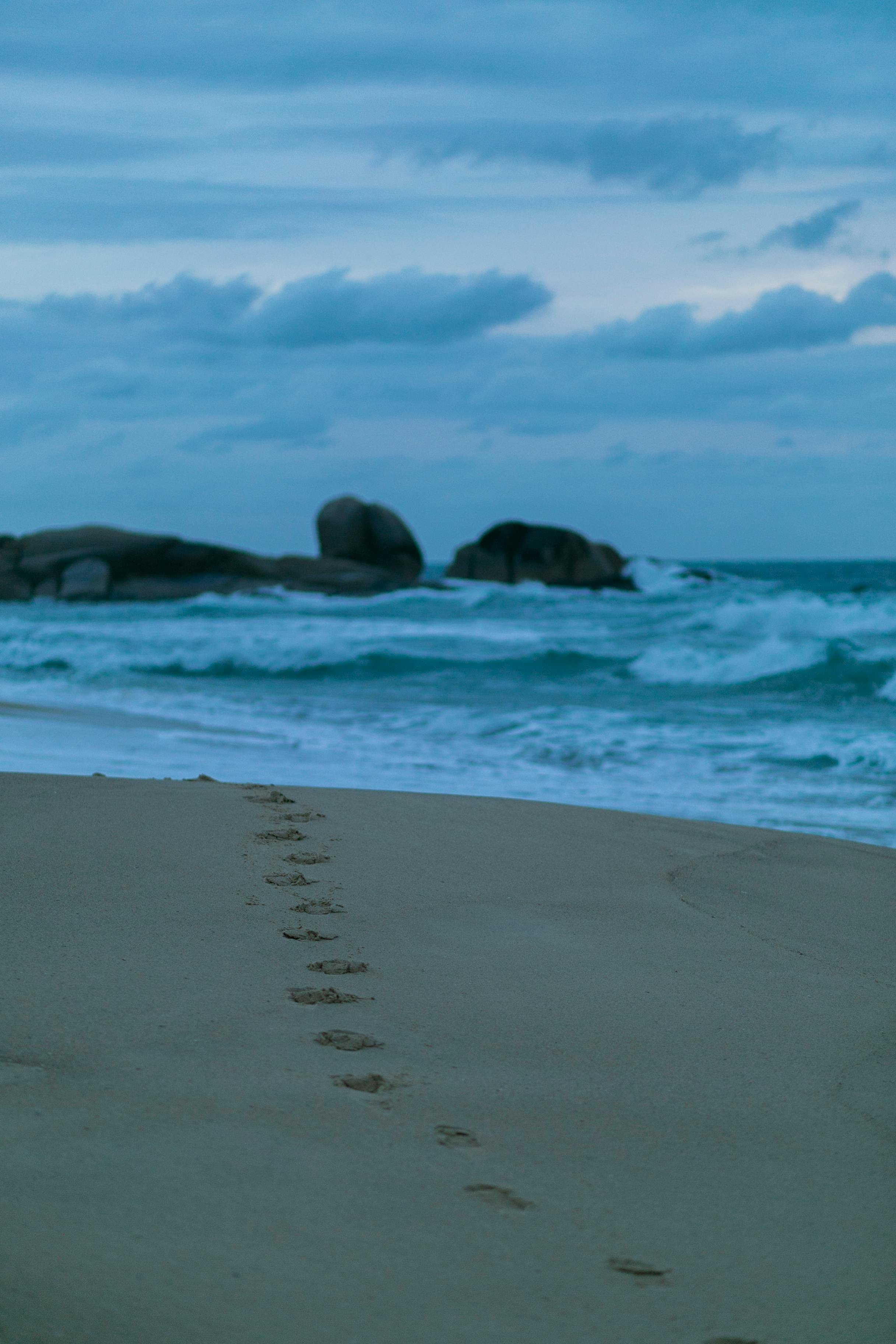 amanhecer na praia com ondas