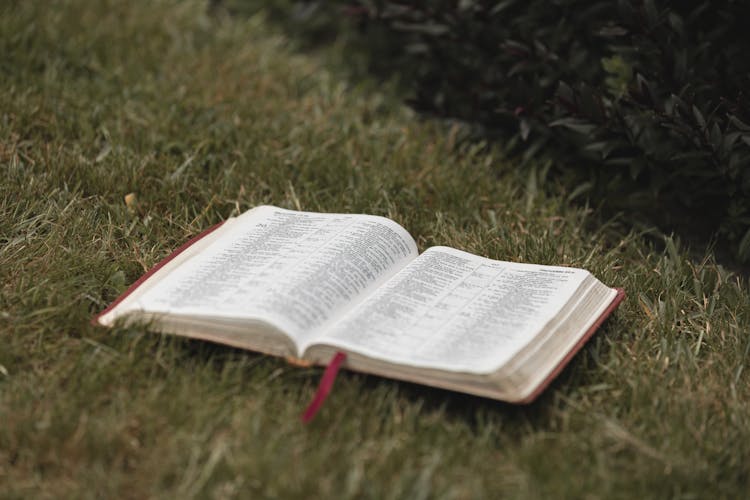 An Open Bible On Green Grass