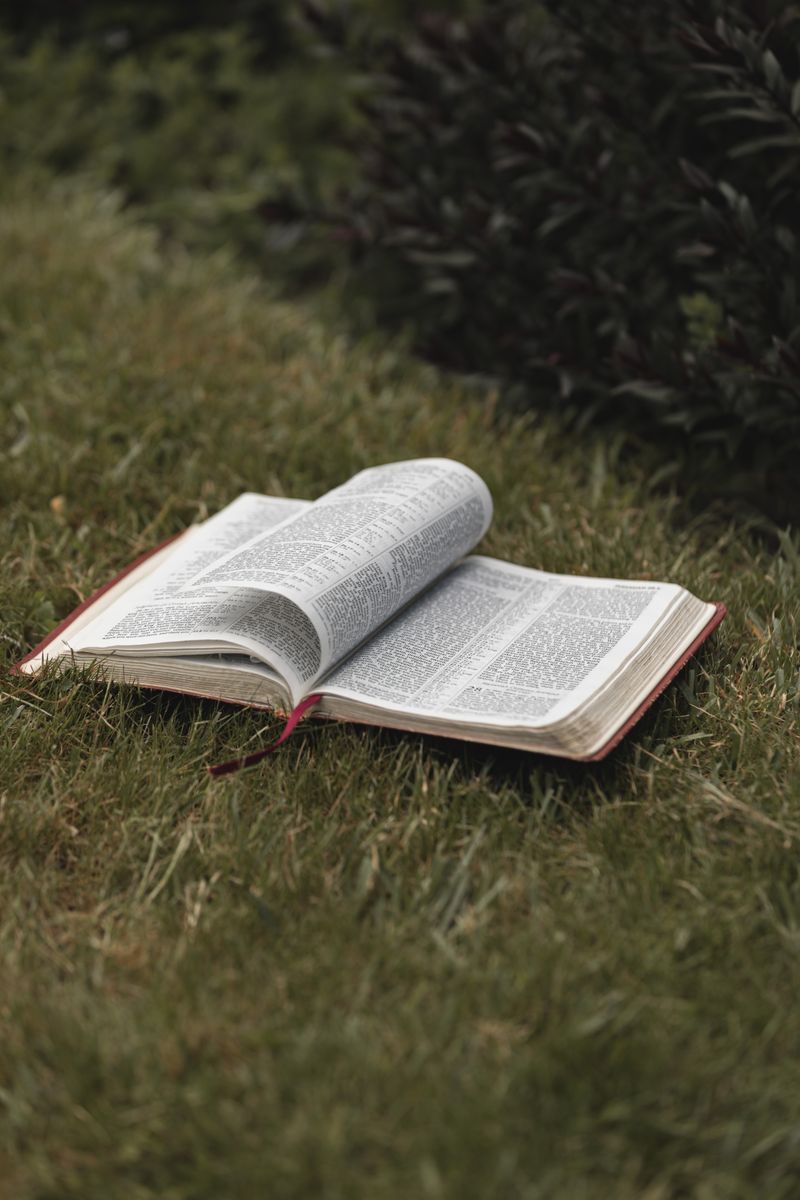 Biblia abierta, evangelio