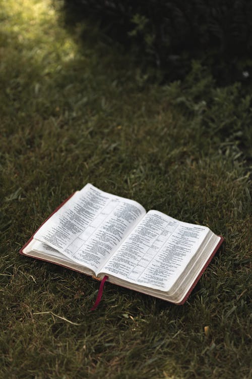 Open Bible on Green Grass