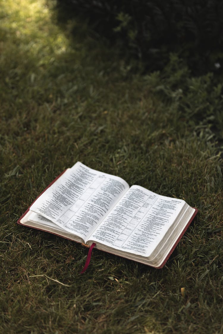 Open Bible On Green Grass