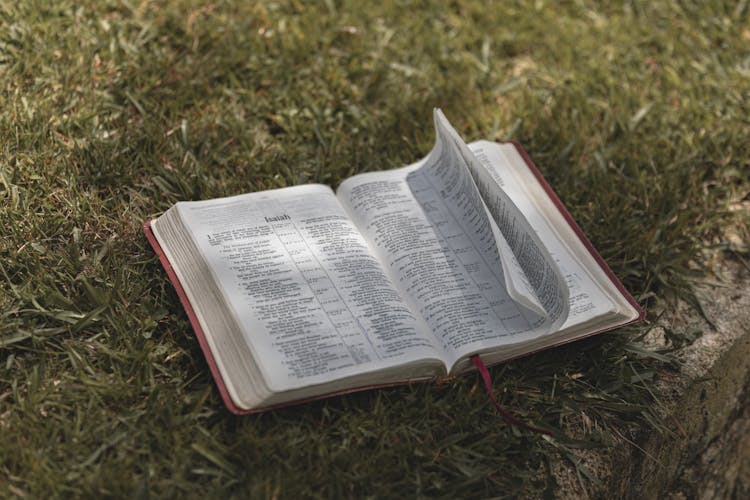 Photo Of An Open Bible On The Grass