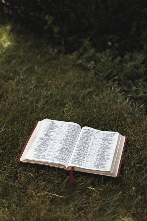 Bible on Green Grass