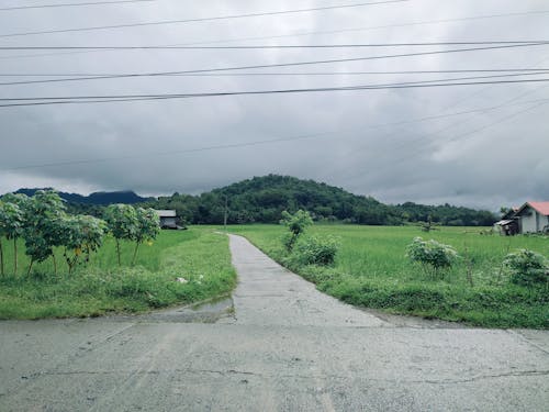 Základová fotografie zdarma na téma hory, rýžové pole