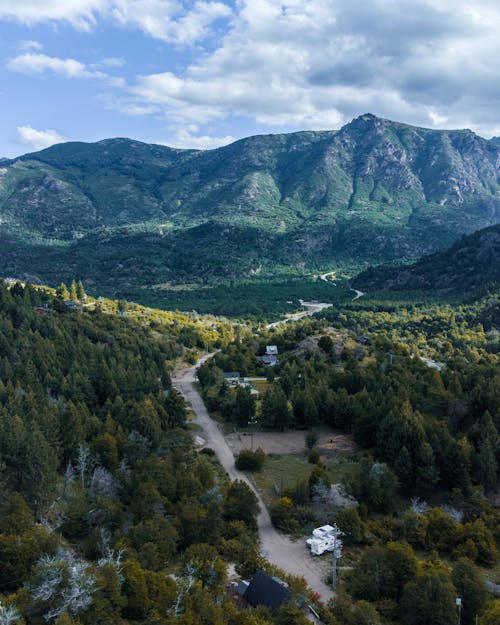 Immagine gratuita di alberi, colline, foresta