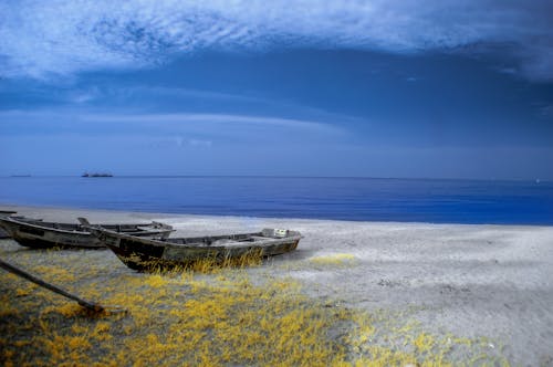 Wooden Boats on Coast