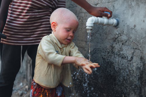 Imagine de stoc gratuită din albinos, apă, băiat